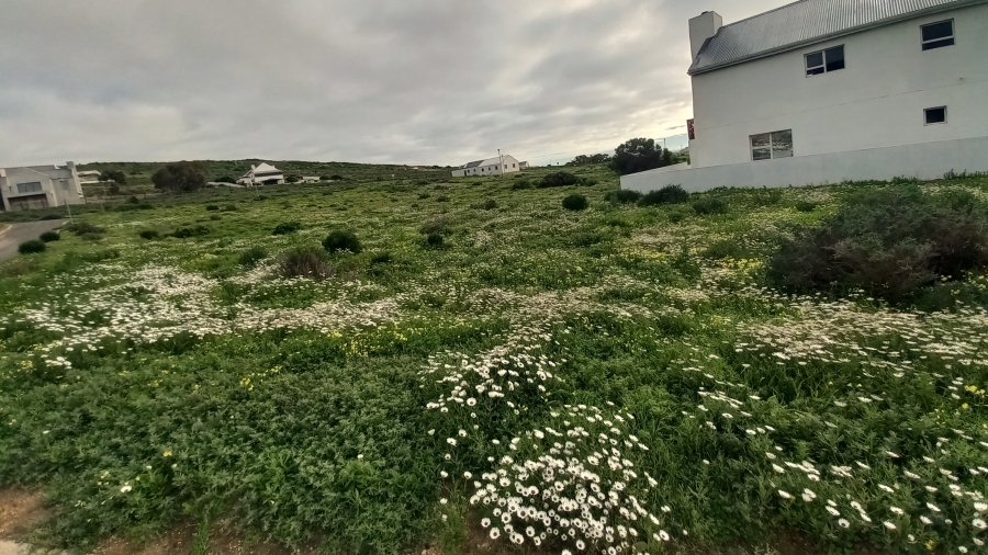 0 Bedroom Property for Sale in Steenbergs Cove Western Cape